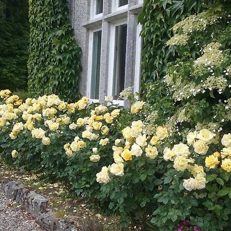 Courtyard Cottage Carlow Dış mekan fotoğraf