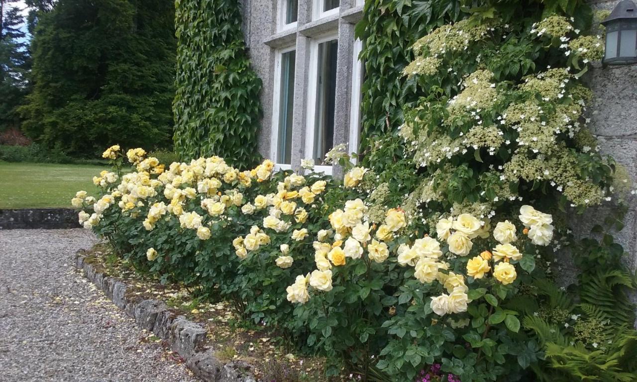 Courtyard Cottage Carlow Dış mekan fotoğraf