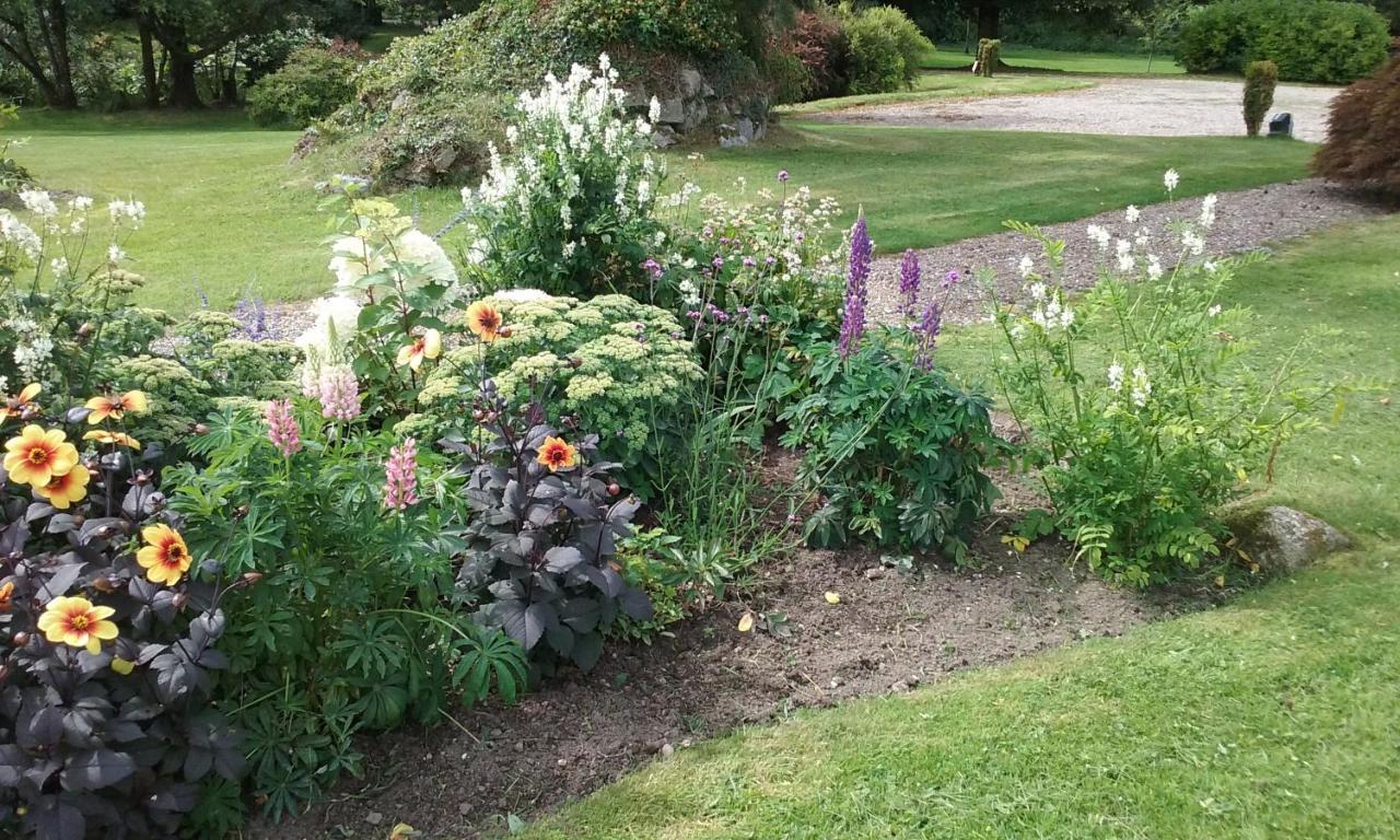 Courtyard Cottage Carlow Dış mekan fotoğraf